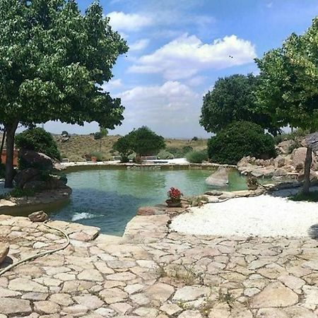 הוילה Argés Finca El Cerco A 5M De Puy Du Fou Y 10M A Casco Antiguo De Toledo מראה חיצוני תמונה