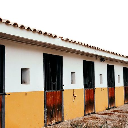 הוילה Argés Finca El Cerco A 5M De Puy Du Fou Y 10M A Casco Antiguo De Toledo מראה חיצוני תמונה