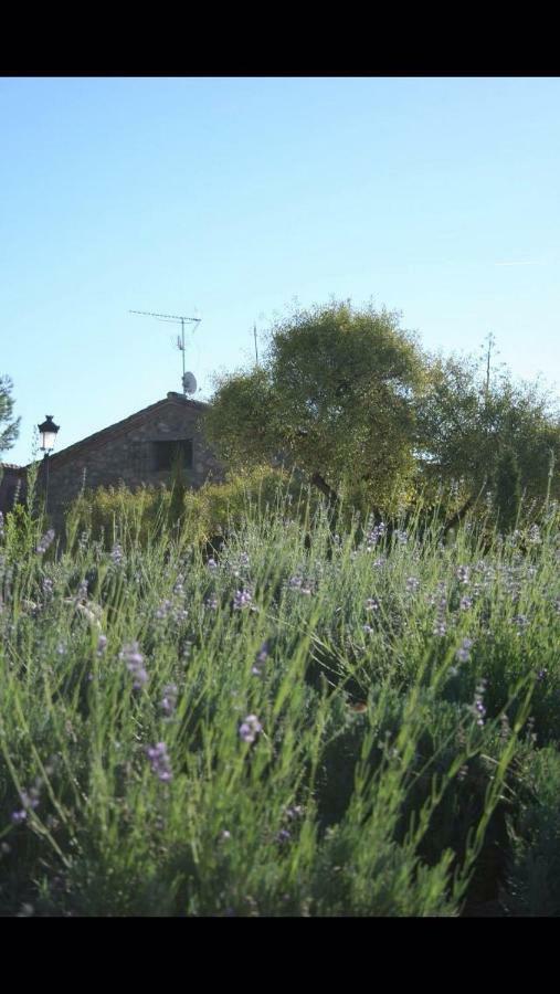 הוילה Argés Finca El Cerco A 5M De Puy Du Fou Y 10M A Casco Antiguo De Toledo מראה חיצוני תמונה