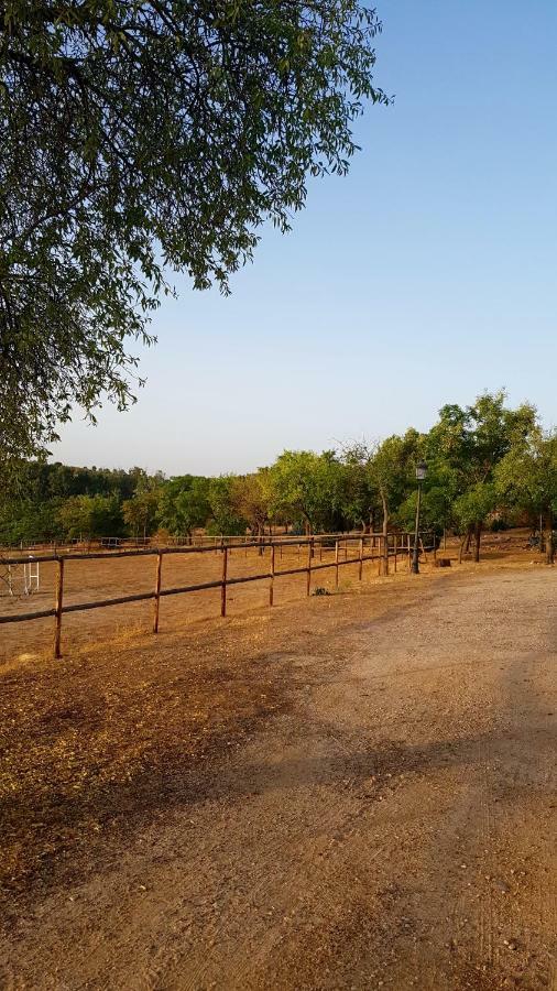 הוילה Argés Finca El Cerco A 5M De Puy Du Fou Y 10M A Casco Antiguo De Toledo מראה חיצוני תמונה