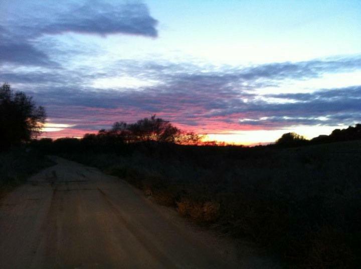 הוילה Argés Finca El Cerco A 5M De Puy Du Fou Y 10M A Casco Antiguo De Toledo מראה חיצוני תמונה
