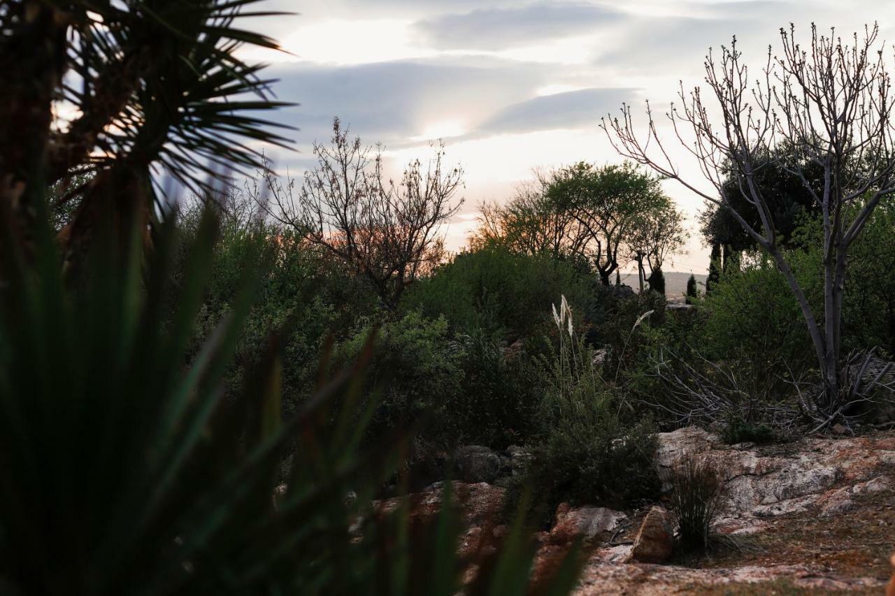 הוילה Argés Finca El Cerco A 5M De Puy Du Fou Y 10M A Casco Antiguo De Toledo מראה חיצוני תמונה